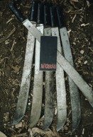 Image of sheet 19830260 photo 5: Macheten